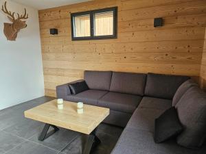 Appartement bas de chalet