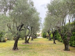 Villas Maison avec piscine sur les hauteurs de Valbonne : photos des chambres