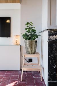 Appartements La Balneo des Terreaux AIL : photos des chambres