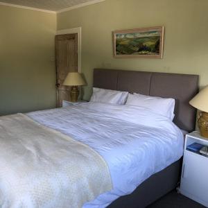 Ffynnonddewi Cardigan