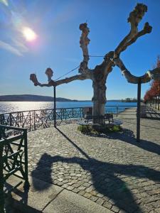 La casetta di Gianni