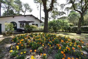 Ourika - Hossegor belle villa située proche du lac marin du centre ville et du stade