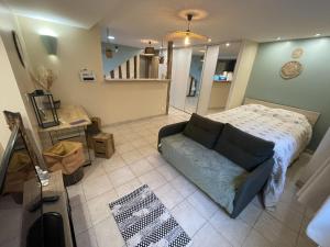 Appartements Superbe studio centre Limoges : photos des chambres