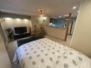 Appartements Superbe studio centre Limoges : photos des chambres