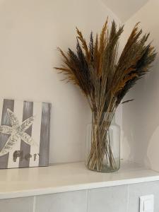 Appartements Superbe studio centre Limoges : photos des chambres