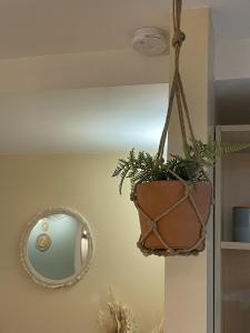 Appartements Superbe studio centre Limoges : photos des chambres