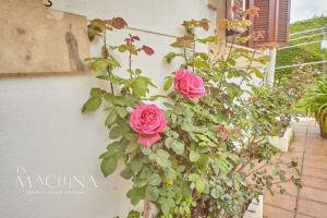 Casa Otañes. En la playa, con piscina privada.