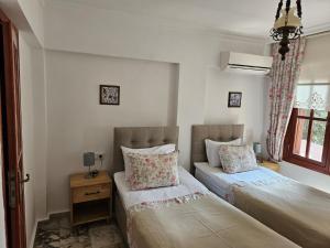 Standard Double or Twin Room room in Sibel Pension