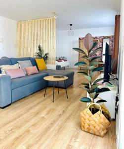 La Casita del Drago, sol y relax