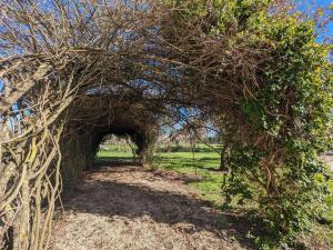 Domaine paisible au cœur du Berry, proche Parc de la Brenne, 6 chambres, cheminée, idéal familles - FR-1-591-200