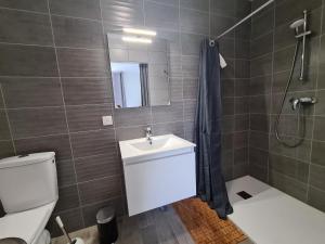 Maisons de vacances Maison tranquille avec jardin, proche Chateauroux, 4 ch., 3 sdb, terrasse, barbecue, parking - FR-1-591-358 : photos des chambres