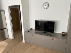 Daydream Arena Studio