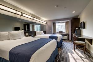 Queen Room with Two Queen Beds - Non-Smoking room in Microtel Inn & Suites by Wyndham Tuscaloosa