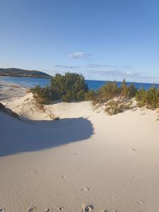 Sunflower house img2