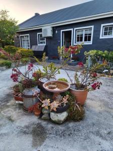 Idyllic seaside escape