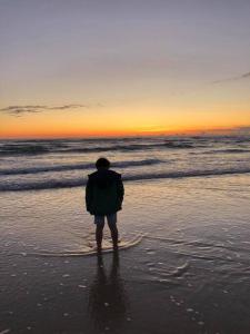 Maisons de vacances Maison bois tout confort proche du lac et de l'ocean : photos des chambres