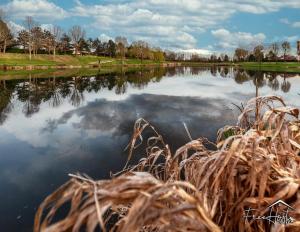 Marvel House - Disneyland 5min, Private Parking, Terrace