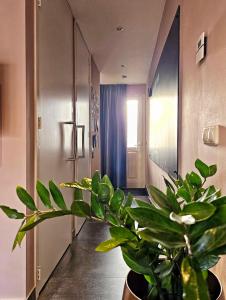 Zandvoort at Home I Free parking & Airco