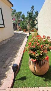 Villa au coeur de la Provence