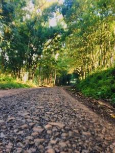 Sítio Família Cherba - Cabana do Lago