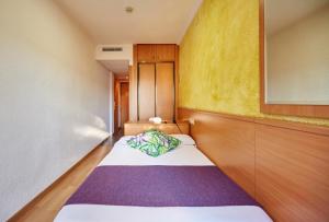 Single Room room in Hotel Samba