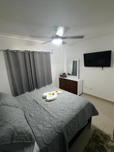 Apartamento Coral azul