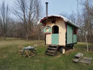Shepherd's hut in nature - Vojnić