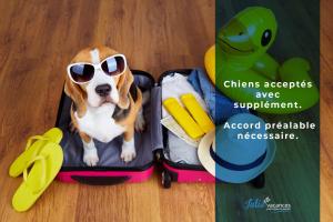 Appartements LA BIGEONNIERE Appartement 1 chambre residence avec piscine proche centre : photos des chambres