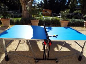 Appartements Appartement charmant a Avignon, 45 m² avec piscine partagee : photos des chambres