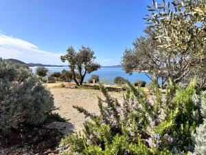 MAURA Premium Mobile Home