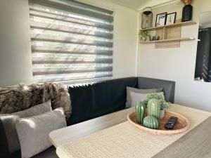 Chalet 1a op Recreatiepark De Wielen