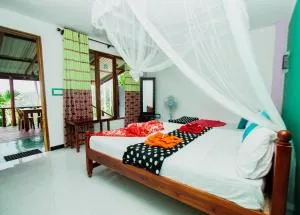 The Sunshine Ella - Goussagama