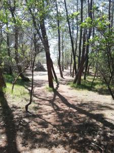 Maisons de vacances Lanton, la petite maison de vos vacances : photos des chambres