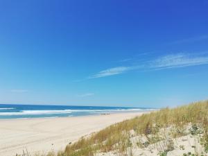Maisons de vacances Lanton, la petite maison de vos vacances : Maison 1 Chambre
