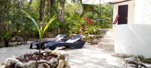 Viila Ixchel jungle pool