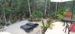 Viila Ixchel jungle pool