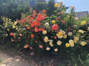 Ádám és Anett Vendégház