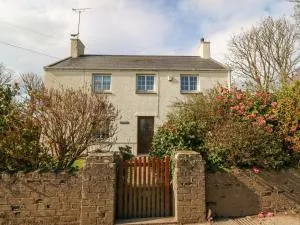 Bryn Cyttun - Ederyn