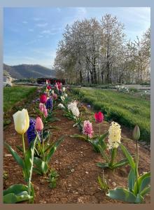 Locanda Cà Del Pian