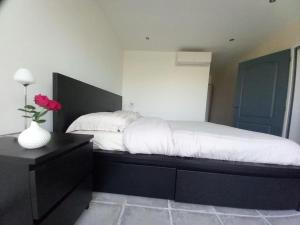 Maisons de vacances Chateau Le Noble Studio ou Appartement : photos des chambres
