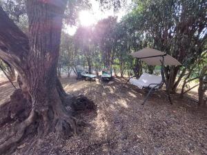 Casa L' Antico Ulivo img33