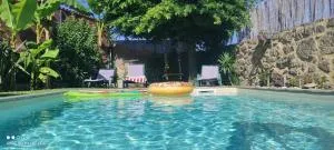 Casa Dos Passarinhos - Proselo