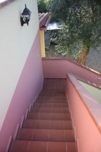 Casa L' Antico Ulivo img44