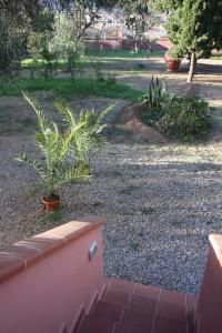 Casa L' Antico Ulivo img43