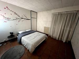 Appartements Appartement sympa : photos des chambres