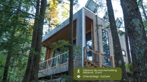 Cabin Zoobox 66