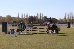 RentUp - Retiro de lujo Casa moderna con jardin y piscina en Pilar