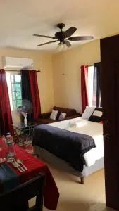 Romantic Suite E - Salt Gut Pen