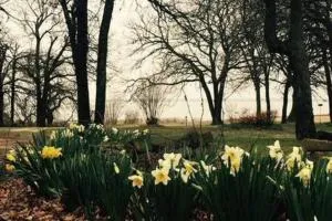 Rolling Oaks Retreat on Eufaula Lake, OK - Okmulgee