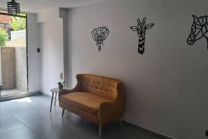 Exclusive Studio in the Best Laureles Area